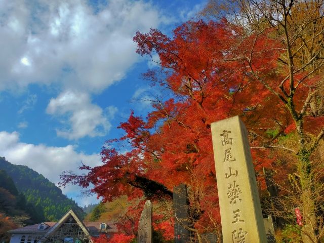 高尾山薬王院　紅葉