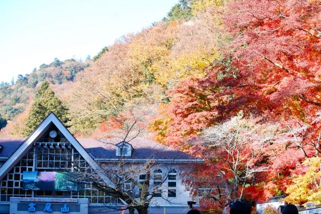 高尾山　紅葉