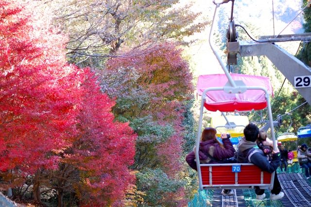 高尾山　紅葉　リフト