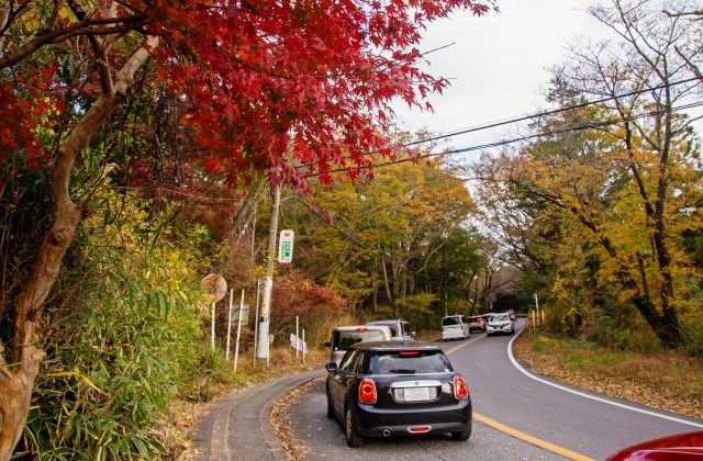 紅葉シーズン　渋滞