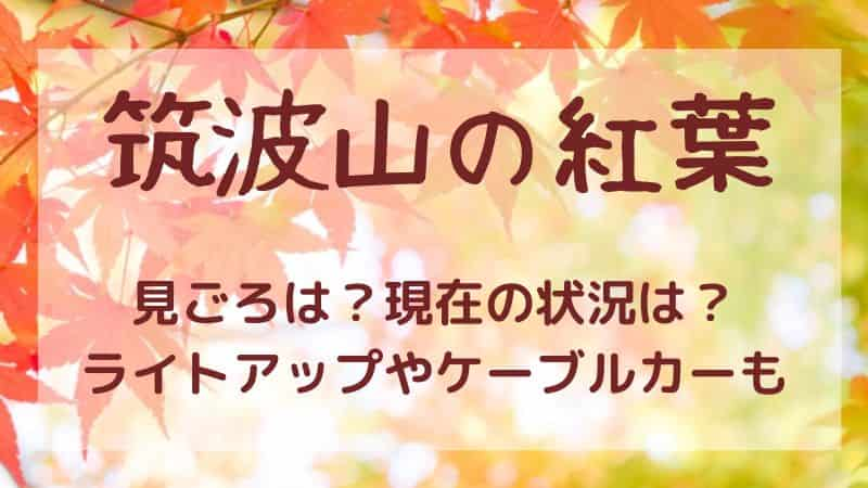 筑波山の紅葉2022の見頃はいつ？現在の状況やライトアップ情報や混雑も！