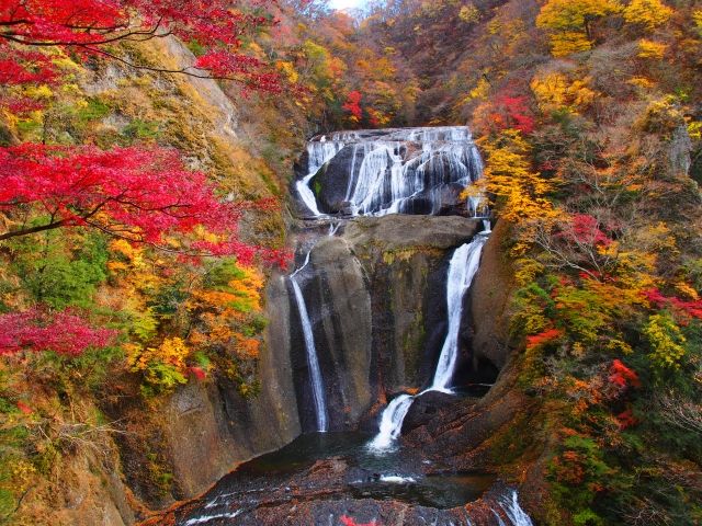 袋田の滝　紅葉