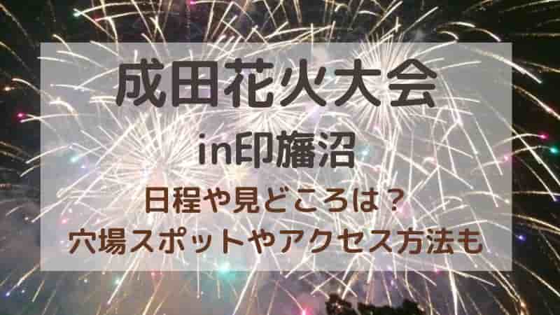 成田花火大会in印旛沼2025の穴場スポットは？日程やチケット・屋台情報も!
