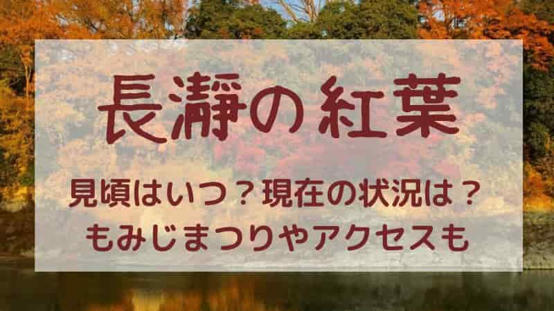 【長瀞の紅葉】2023年の見頃はいつ？紅葉まつりやライトアップ・ライン下りも