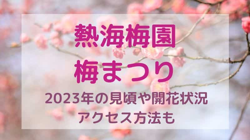 監察医朝顔 キャスト