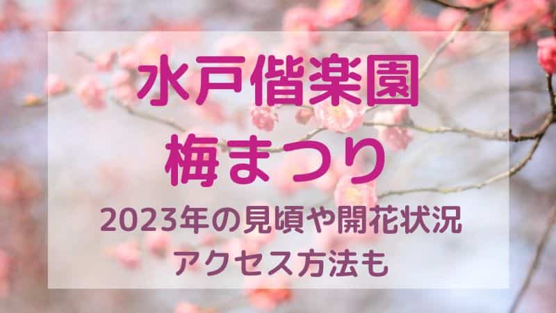 Nacotimes 季節のお出かけ情報をお届け
