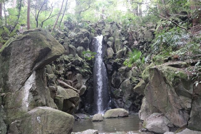 成田山公園の雄飛の滝