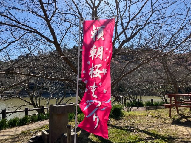 頼朝桜まつりののぼり