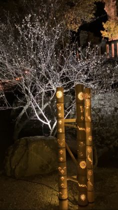 高家神社　ライトアップされた梅