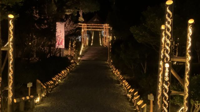 高家神社　ライトアップされた参道