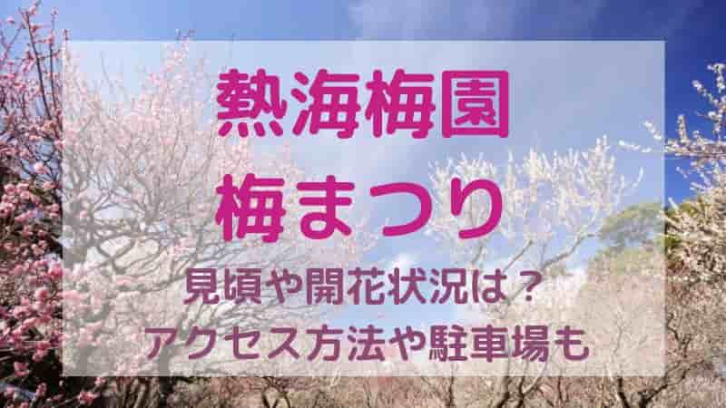 【熱海梅園】梅まつり2024年の見頃は？