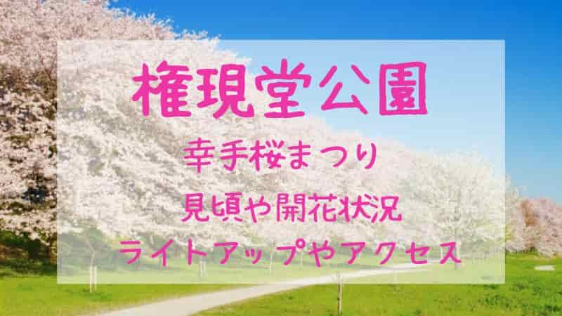 【権現堂公園の桜】2023年の見頃や開花状況は？桜まつりやアクセスも！