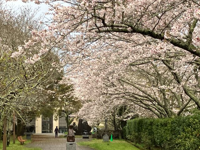 館山市立博物館へむかう道