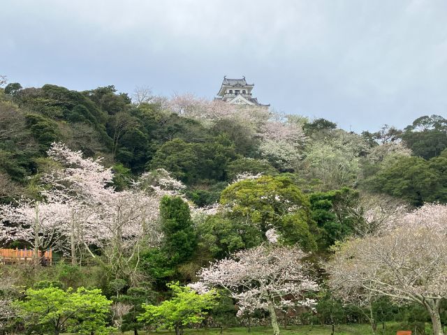 芝生広場から館山城を見上げる