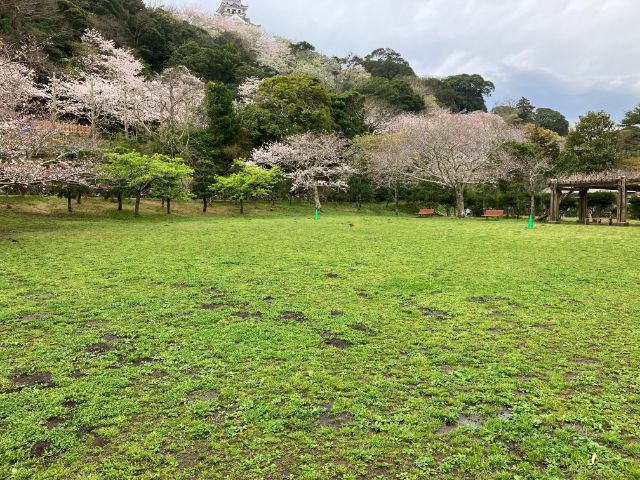 城山公園の芝生広場