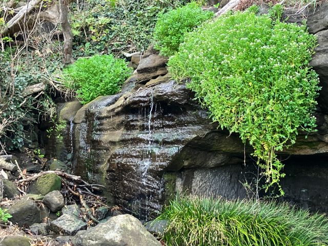 大房岬自然公園　不動滝