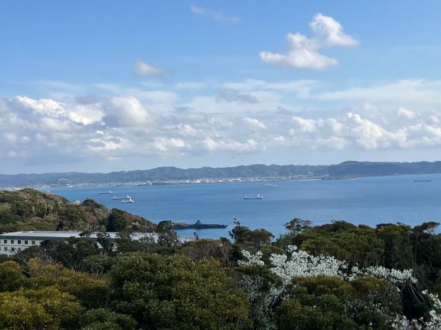 大房岬自然公園　展望塔からの眺め