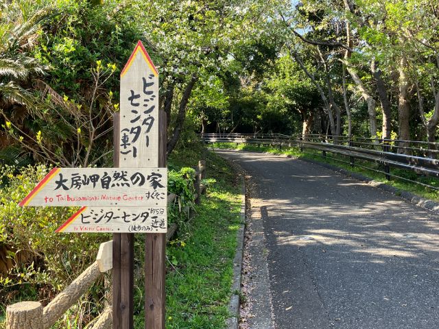 大房岬自然公園　運動園地への道のり