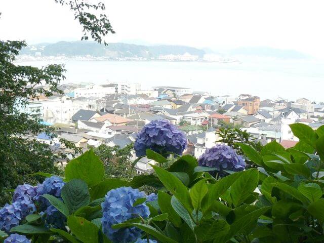 長谷寺　あじさい路からの眺め
