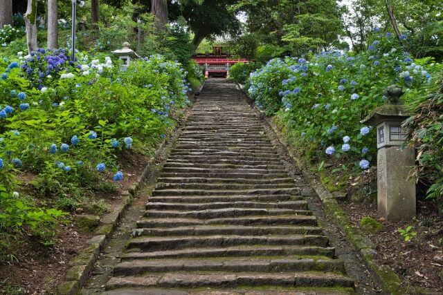 雨引観音　石段