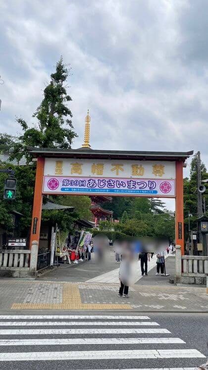 高幡不動尊　あじさい祭り