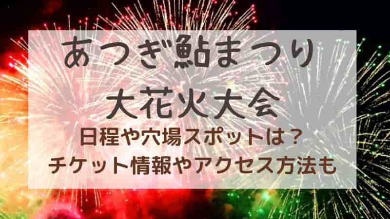 あつぎ鮎まつり大花火大会】2025年の日程は？穴場スポットやチケット情報も
