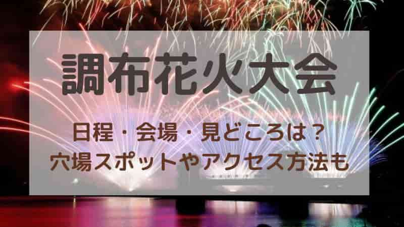 調布花火2024チケット布田ペア席 物凄い 