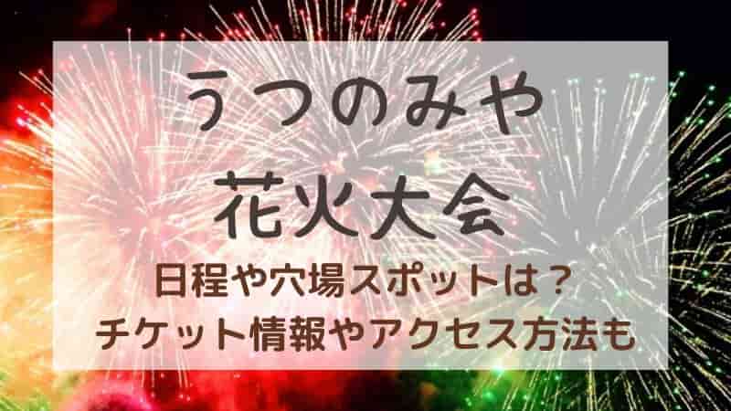 宇都宮花火大会】2025年の穴場スポットは？日程やチケット情報・アクセスも