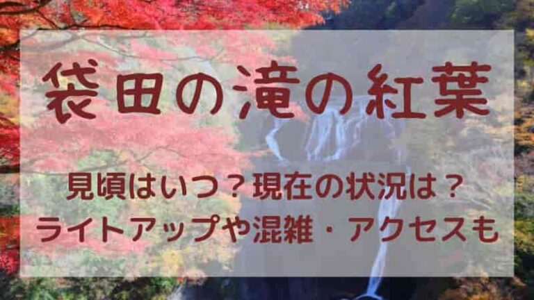 【袋田の滝の紅葉】2025年の見頃や紅葉状況は?ライトアップやアクセスも!