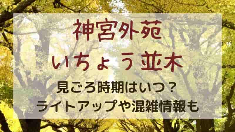 【神宮外苑の銀杏並木】2023年の見頃やいちょう祭りはいつ？ライトアップも！