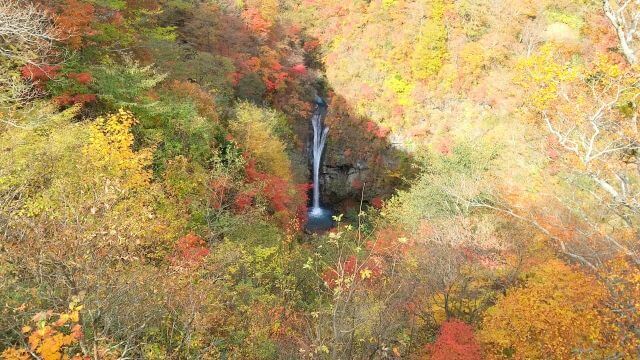 駒止の滝　紅葉