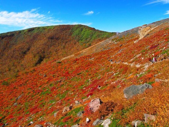 那須岳　鮮やかな紅葉