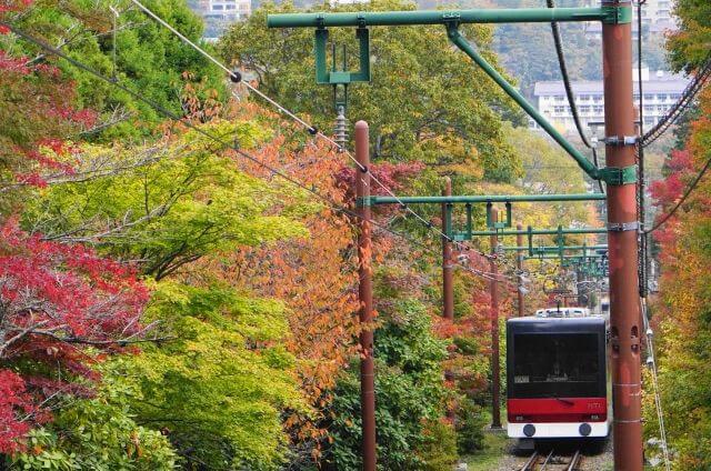 箱根登山鉄道　紅葉