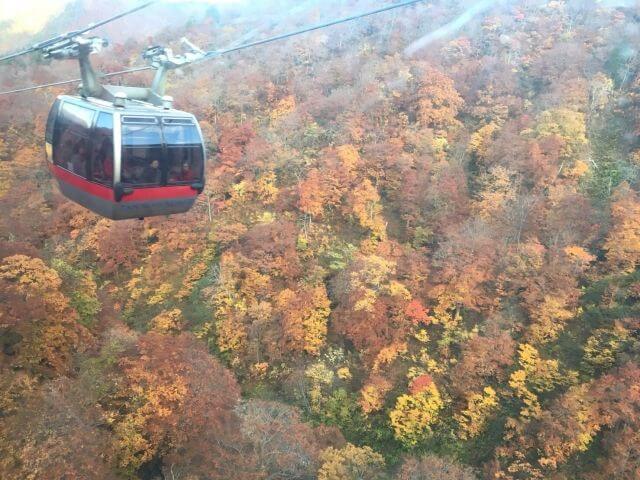 谷川岳ロープウェイ　紅葉