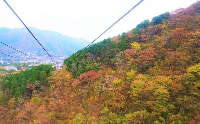 箱根ロープウェイ　紅葉