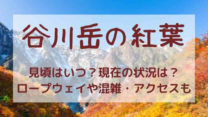 【谷川岳の紅葉】2023年の見頃はいつ？ロープウェイや混雑情報も！