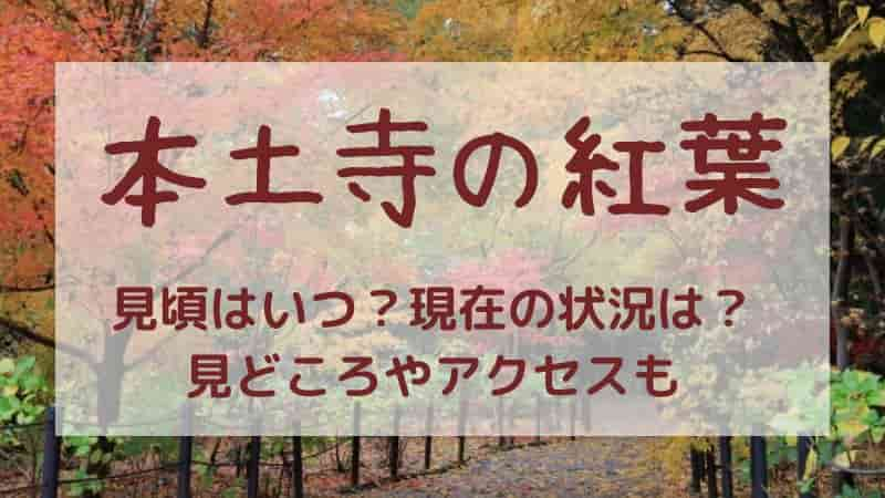 【本土寺の紅葉】2023年の見頃はいつ？現在の状況や拝観料・アクセス方法も