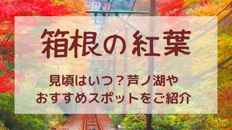 箱根の紅葉2023年の見頃はいつ？芦ノ湖やおすすめスポットをご紹介