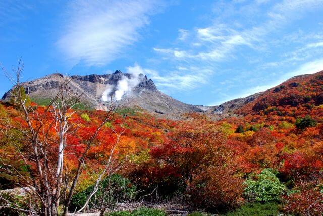 紅葉　茶臼岳