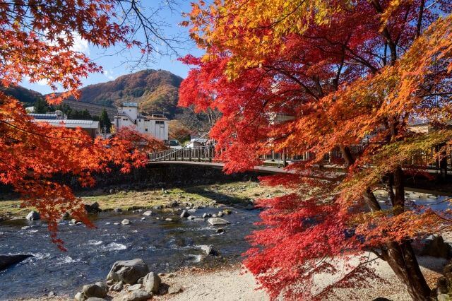 紅の吊り橋　紅葉