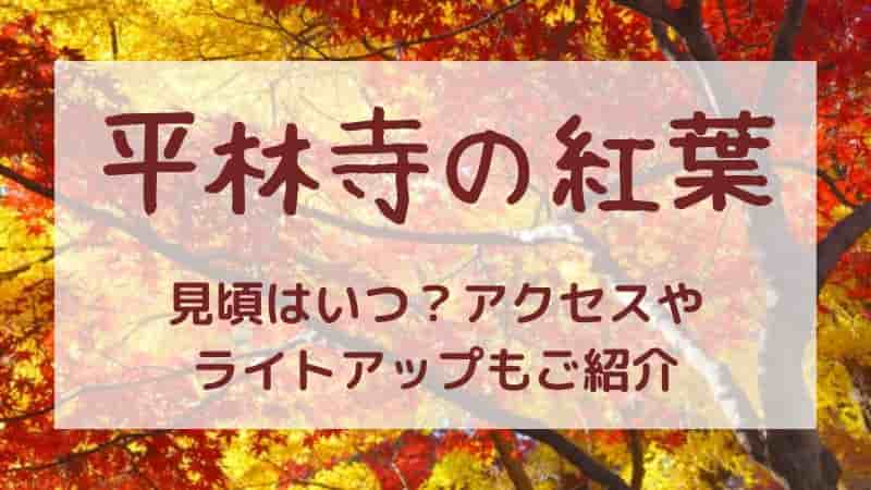 【平林寺の紅葉】2023年の見頃はいつ？ライトアップやアクセス方法もご紹介