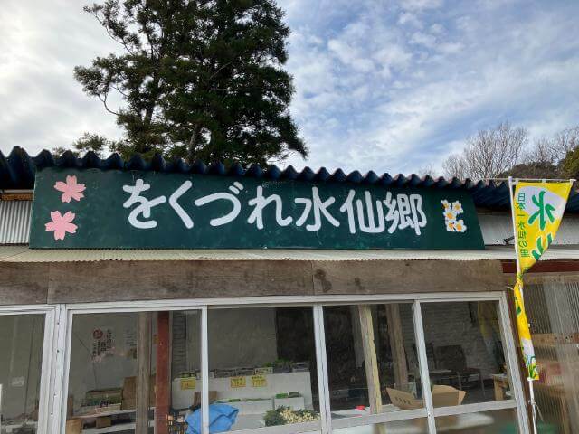 鋸南町　をくづれ水仙郷