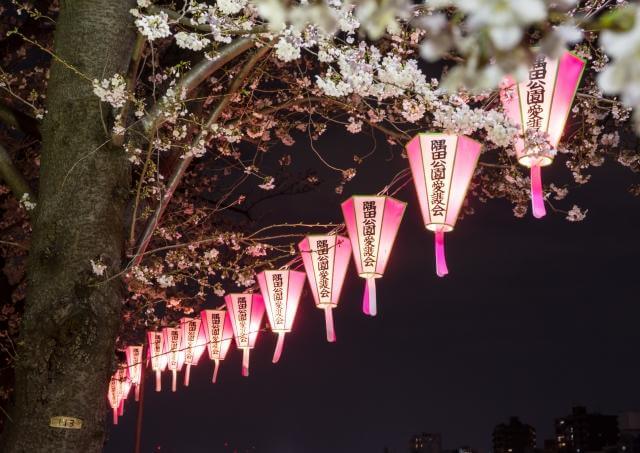 隅田公園　桜まつり