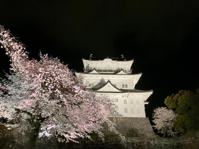 小田原城址公園　ライトアップ