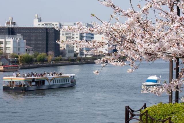 隅田川　桜　水上バス