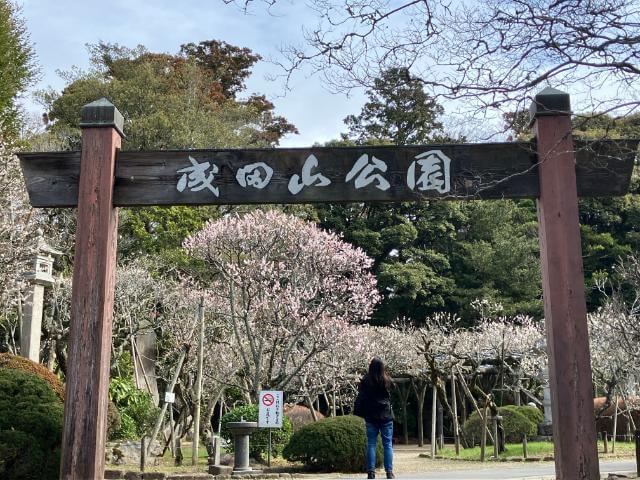 成田山公園　梅まつり