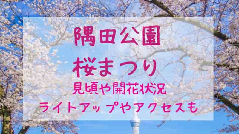 【隅田公園】2024年の桜まつりはいつ？見頃や開花状況・ライトアップも情報も！