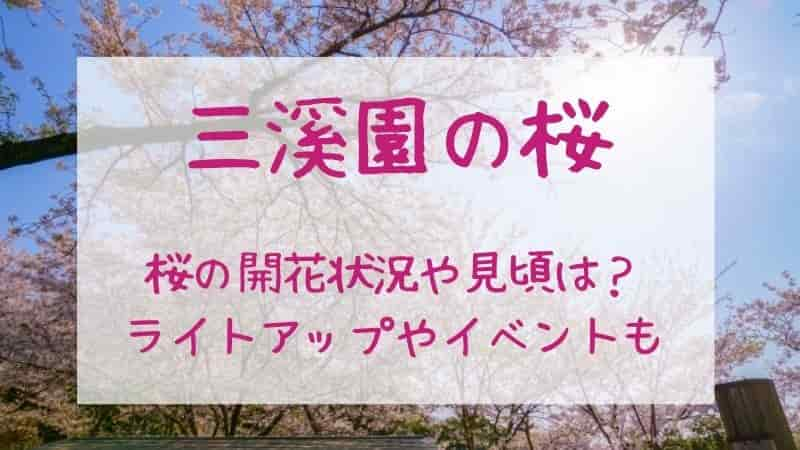 【三溪園の桜】2024年の見頃や開花状況は？ライトアップはいつ？