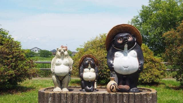 館林　つつじが岡公園　たぬき