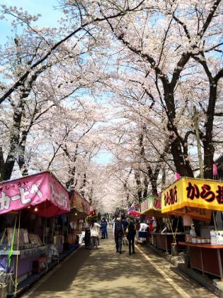 赤城南面千本桜　屋台